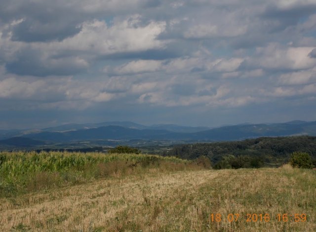 Kočino selo, jul 2016-1